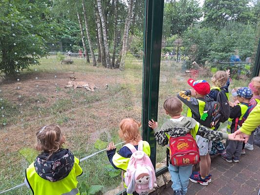 Grafika #1: Wycieczka do ZOO w Gdańsku cz. II