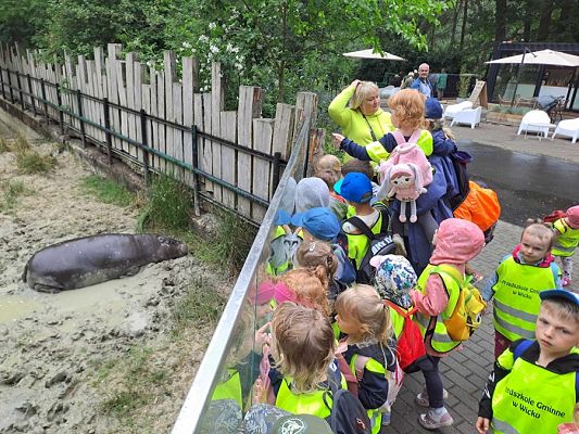 Grafika #2: Wycieczka do ZOO w Gdańsku cz. II