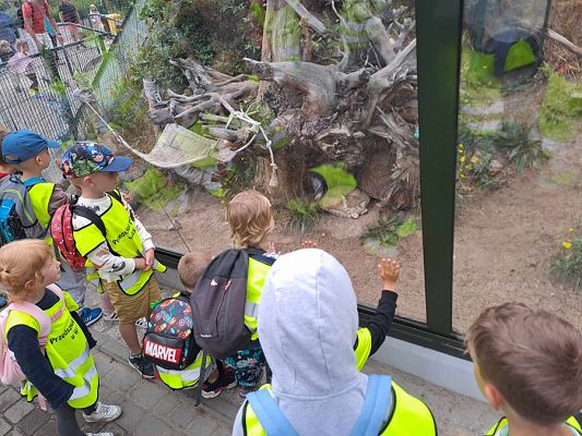 Grafika #6: Wycieczka do ZOO w Gdańsku cz. II