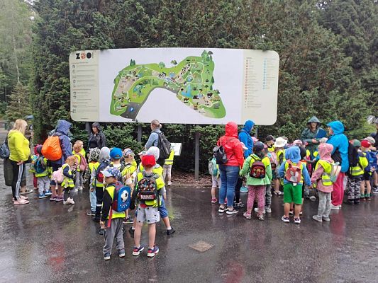 Grafika #8: Wycieczka do ZOO w Gdańsku cz. II