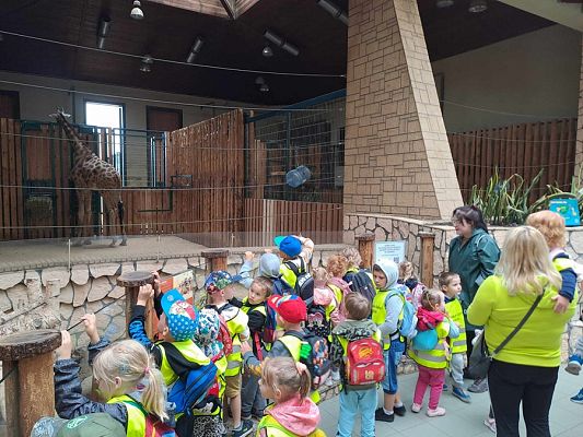 Grafika #9: Wycieczka do ZOO w Gdańsku cz. II