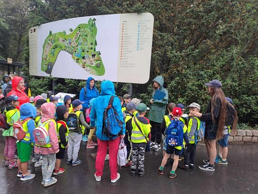 Grafika #10: Wycieczka do ZOO w Gdańsku cz. II