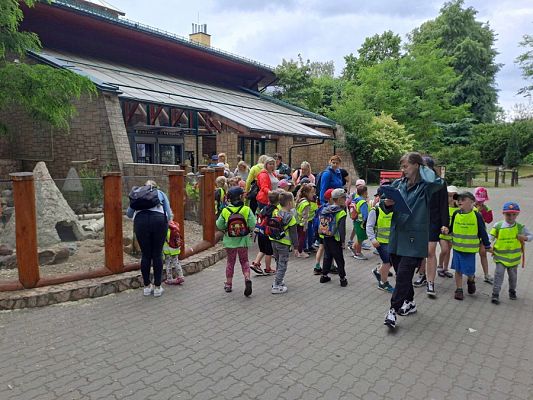 Grafika #12: Wycieczka do ZOO w Gdańsku cz. II