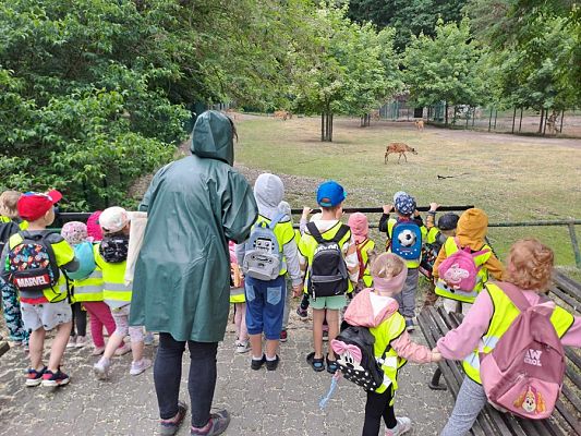 Grafika #13: Wycieczka do ZOO w Gdańsku cz. II