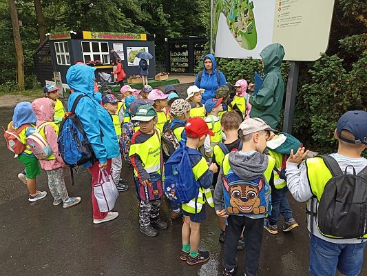 Grafika #15: Wycieczka do ZOO w Gdańsku cz. II