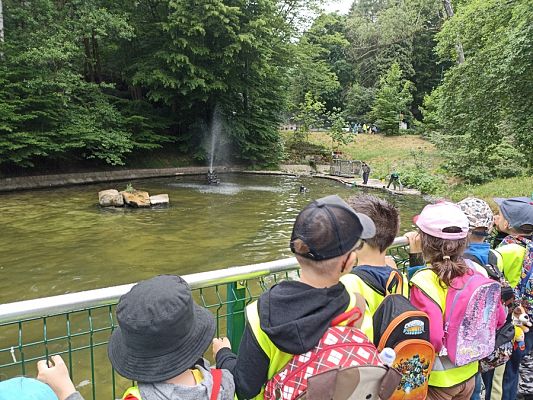 Grafika #16: Wycieczka do ZOO w Gdańsku cz. II