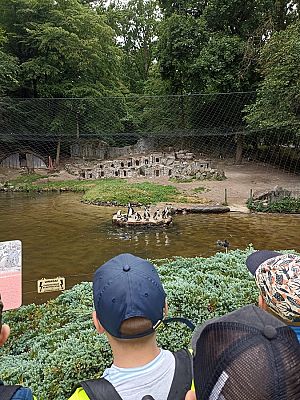 Grafika #17: Wycieczka do ZOO w Gdańsku cz. II