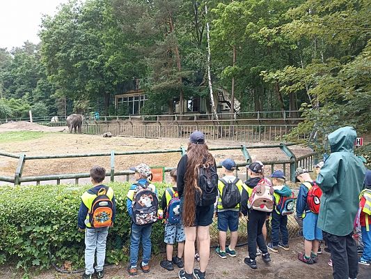 Grafika #18: Wycieczka do ZOO w Gdańsku cz. II