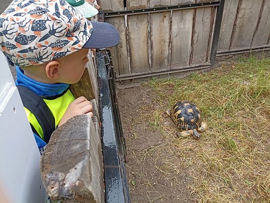 Grafika #19: Wycieczka do ZOO w Gdańsku cz. II