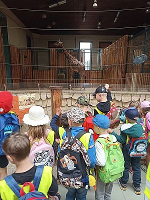 Grafika #20: Wycieczka do ZOO w Gdańsku cz. II