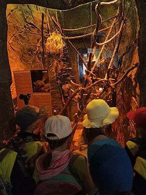 Grafika #23: Wycieczka do ZOO w Gdańsku cz. II