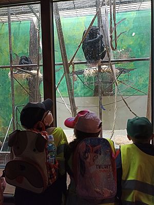 Grafika #24: Wycieczka do ZOO w Gdańsku cz. II